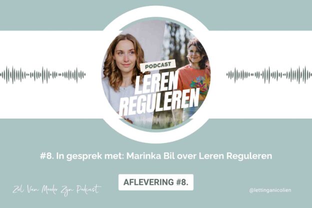 Leren Reguleren - Nicolien Lettinga